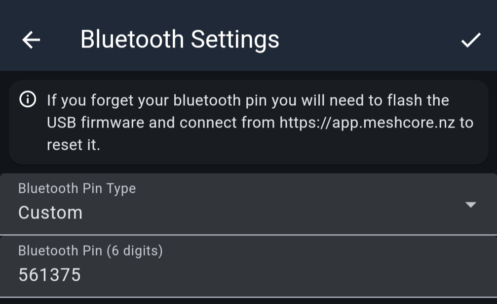 The Bluetooth Settings screen. A notice warns that a forgotten PIN can only be reset by flashing the USB firmware. Below it, Bluetooth Pin Type is set to Custom, and a Bluetooth Pin (6 digits) field holds an example six-digit value.